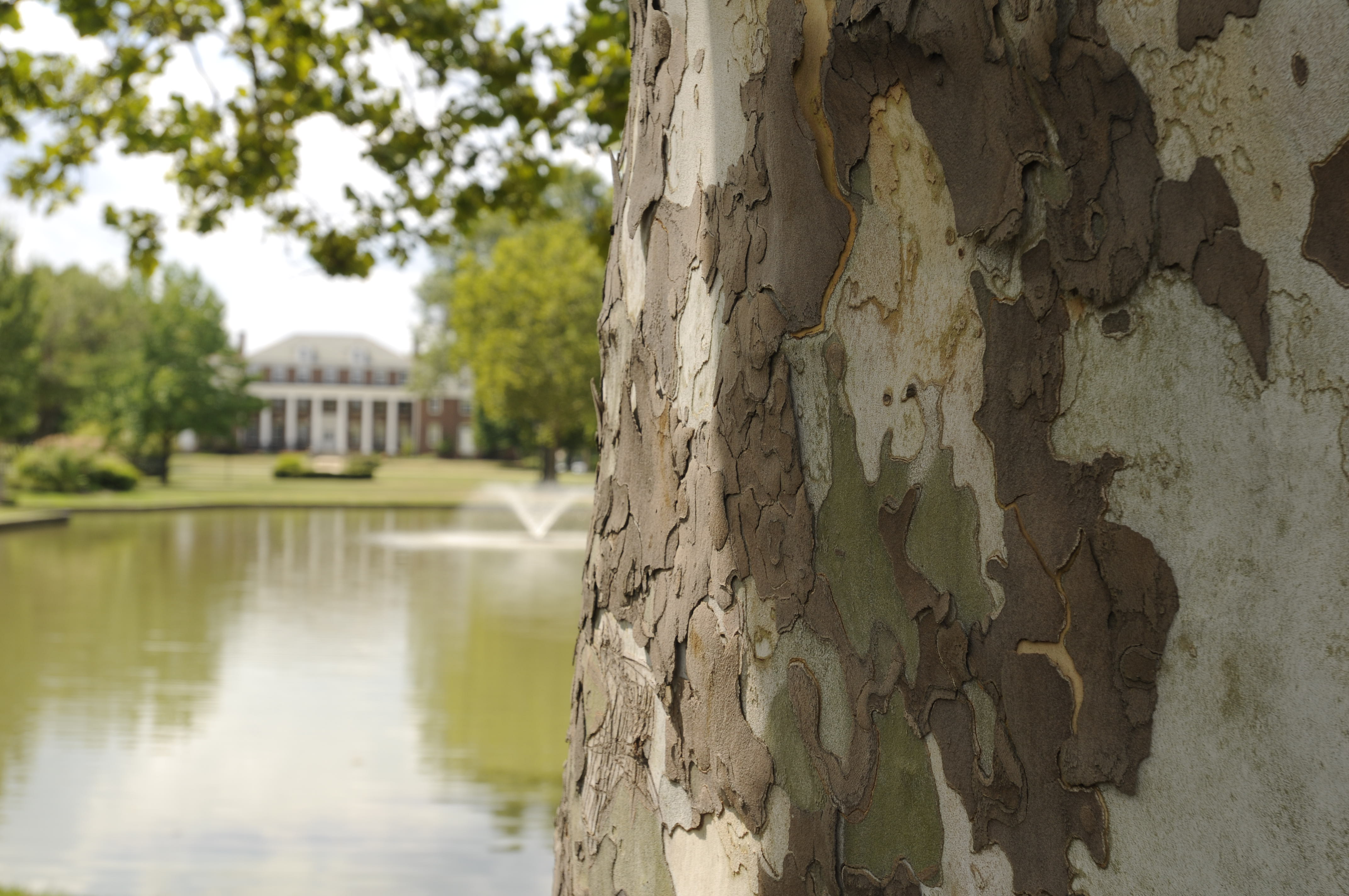 university-of-mount-union-news-university-of-mount-union